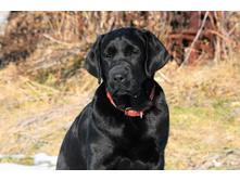 ���� ��� 5 ���