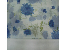 ����� �������.JPG