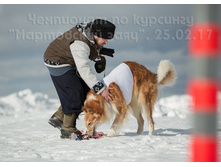 33048965841 8f77cfb6ce o.jpg