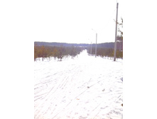 IMG 20170311 132440.jpg