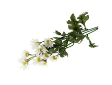 ����� ������������� "����� �������"����� ������������� "����� �������" �����; 50 ��; �������, ��������; � ����� 600 ��. ���.: 140910 60.00���.