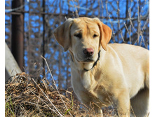 ������� 5 ���.