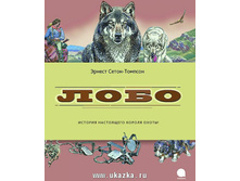 ����.���� �����. 300�,