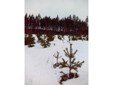 IMG 20170305 110127.jpg