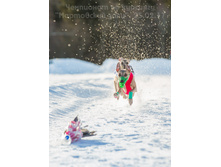 33020575811 cfd9a2b40c o.jpg