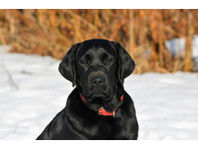 ���� ��� 5 ���