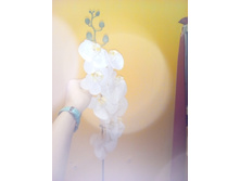 2017-03-28 10-58-32.JPG