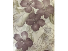 Filli��i, �������