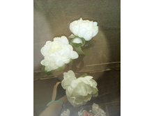 2017-03-28 10-53-49.JPG