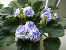 20160506 182007.jpg
