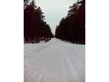 IMG 20170305 104858.jpg