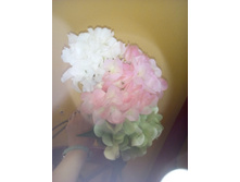 2017-03-28 11-00-40.JPG