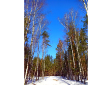 IMG 20170326 094247.jpg