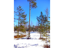 IMG 20170326 094800.jpg