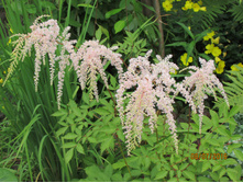 �������� ��������.JPG