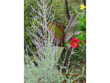 ������ ����� � ����������.JPG