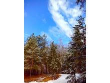 IMG 20170325 111105.jpg