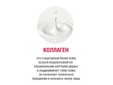 � ����������