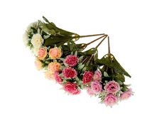 ����� "�������� �������" ��������� "�������� �������" ���� �����; 28 ��; �������, ��������; � ����� 600 ��. ���.: 1653822 75.00���.