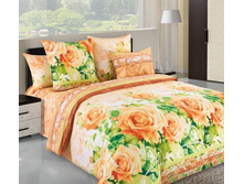 ��� 2 ��. � ������������� ���� ���� "���� 1" 1 346,00 ���.