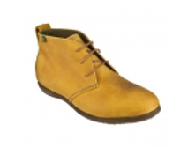 4050�-���-n641 ari-maiz.jpg