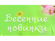 ����� ������� ���� 2017