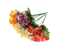 ����� "�������" ������ ����, ��������� "�������" ������ ����, ���� �����; 28 ��; �������, ��������; � ����� 800 ��. ���.: 1840792 54.00 ���