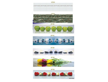 �������� 4.jpg