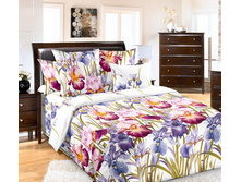 ��� ������� 2.0 �� � ������������� ���� "���� 2" 1 617,00 ���.