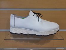 564  ����� ������� ����� ����