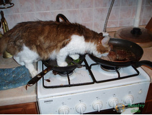 ��� � �������