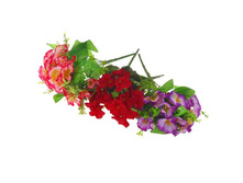 ����� "�������� ����������" ��������� "�������� ����������" ���� �����; 30 ��; �������, ��������; � ����� 1200 ��. ���.: 1274869 63.80���.