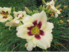 �������� �����.JPG