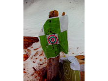 IMG 20170304 111555.jpg