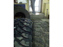 IMG 20170330 171256.jpg