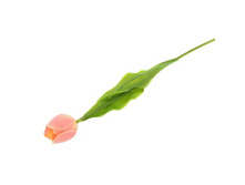 ������ ������������� "������� ������" �����-������������� ������������� "������� ������" �����-������� �����; 48 ��; �������, ��������; � ����� 288 ��. ���.: 1162535 39.00���.