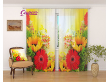 �������� "����� �� ������ � �����������" 2 640,00 ���. �����: ����������� �������: 290x260 �� ��������: ����� �����: 03537