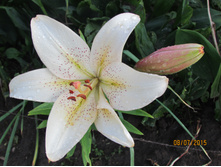 ��������� ���������.JPG