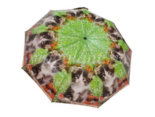 Zont-zhenskiy-7770-shine-3-sl-s-a-teflon-koshki 11.jpg