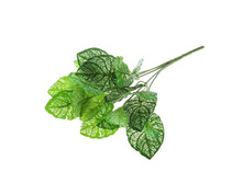 ����� "����-��������" 28 ������� "����-��������" 28 �� �����; 28 ��; �������, ��������; � ����� 600 ��. ���.: 1840827 66.00���.