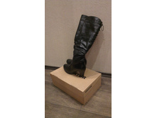 ���. ����