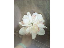 2017-03-28 10-52-50.JPG