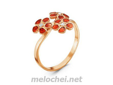 ������ ������������ "���������-1", ���. 2468669r1, 173 ���.