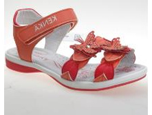 Image132.jpg