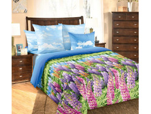 ��� ������� �������� ����"������ 2" 2 205,00 ���.