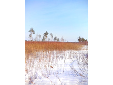 IMG 20170311 104155.jpg