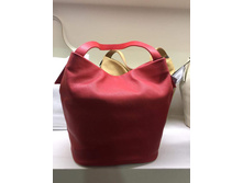 16640825 10212582463187434 8397852762662597091 n.jpg