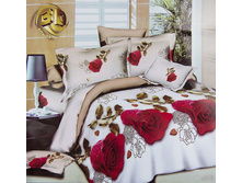 ��������� ���� ���� (205�215) No51 880,00 ���.