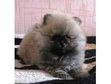 ����� ���� 016.JPG