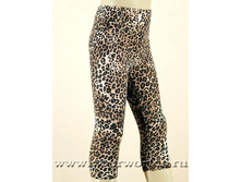 236 ���, 110,116����